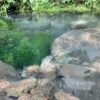 美味しい湧水が飲める男池湧水群。真夏でも涼しいおススメのスポットです！